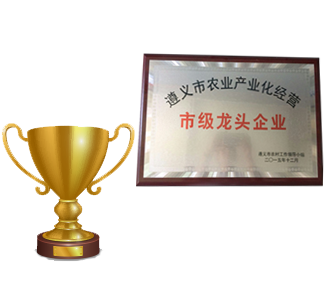 貴州有機(jī)肥,貴陽(yáng)有機(jī)肥,有機(jī)肥廠(chǎng)家